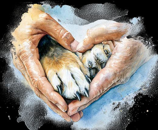 Watercolor illustration of hands forming a heart around two dog paws