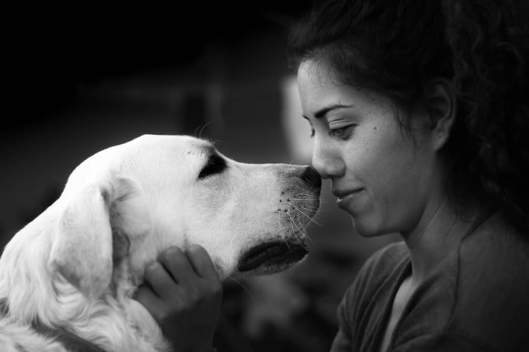A cute dog and a woman embrace