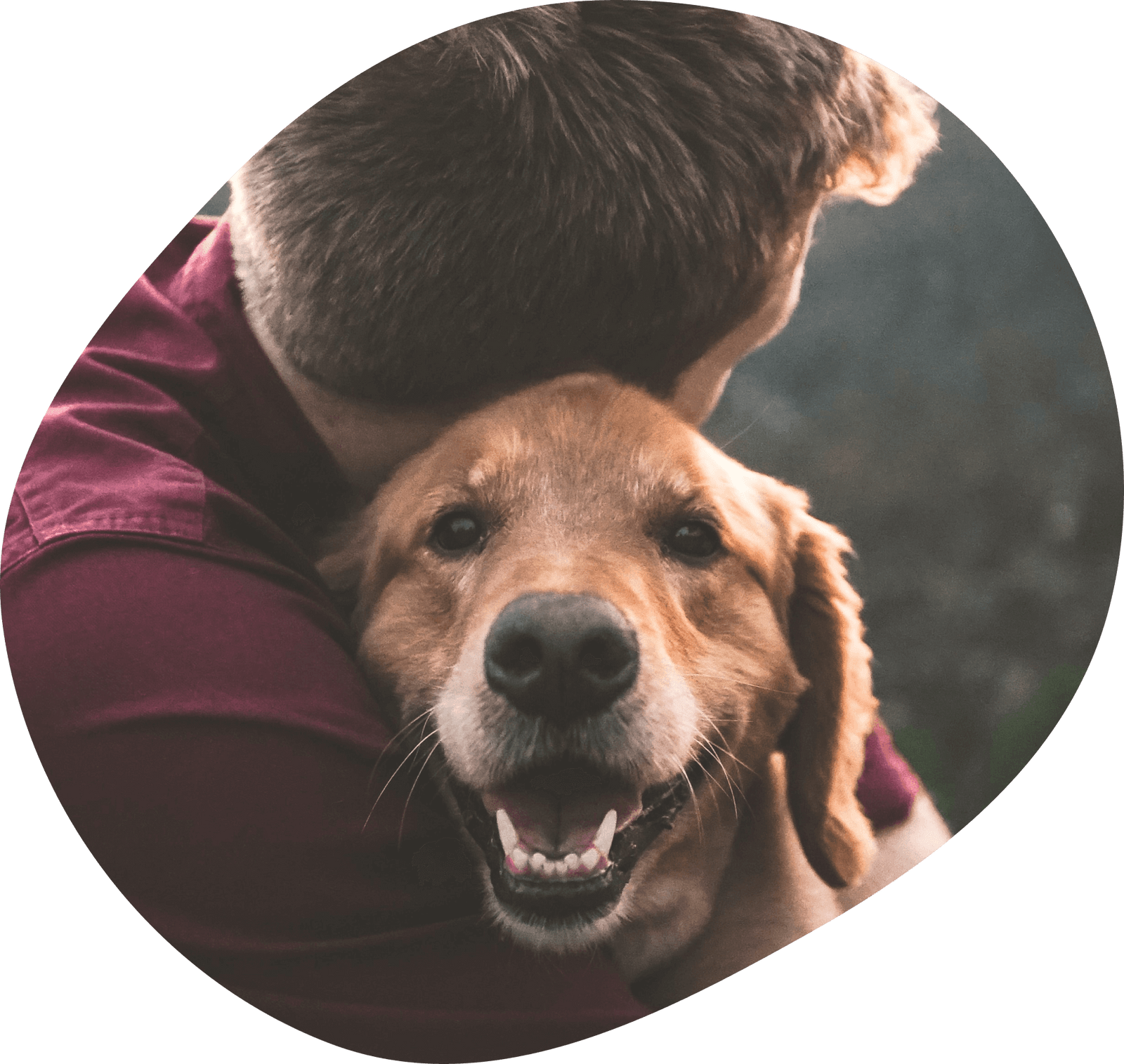 Man hugging a dog