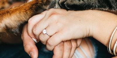How Loving Pet Parents Weigh Their Most Difficult Decision