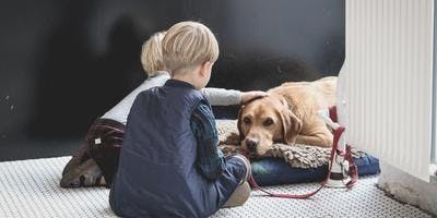 How to help children grieve the loss of a pet 