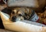Review by Joan K.