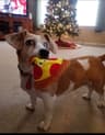 Review by Brandy M.