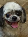 Review by Bonnie H.