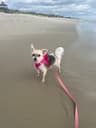 Review by tammy r.