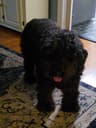 Review by Lisa P.