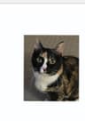 Review by Edward G.