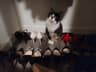 Review by Logan L.