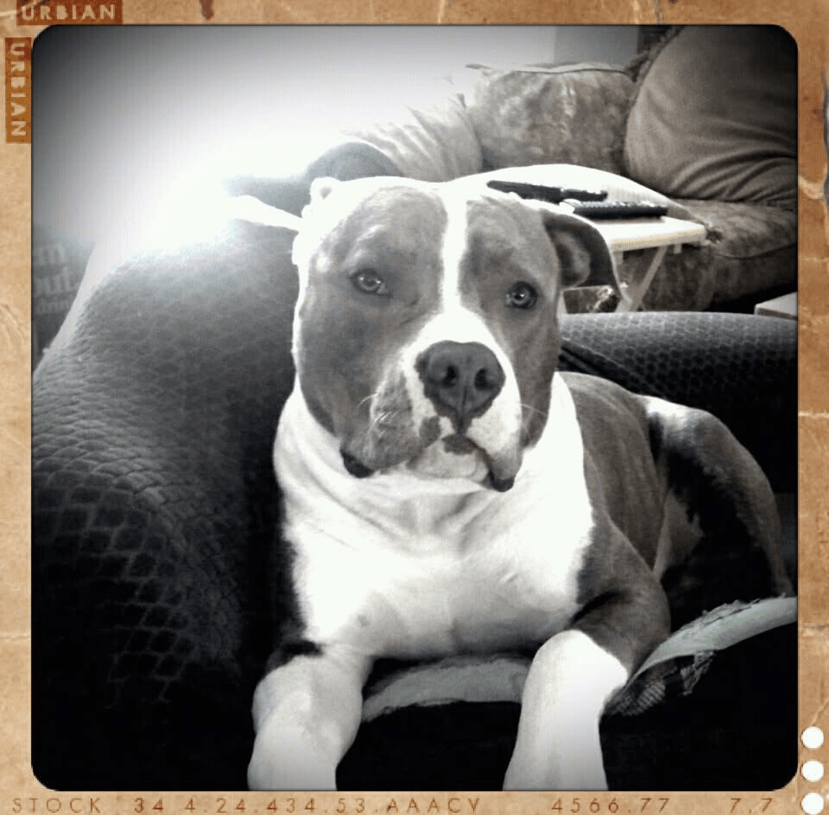 Review by Tracy B.