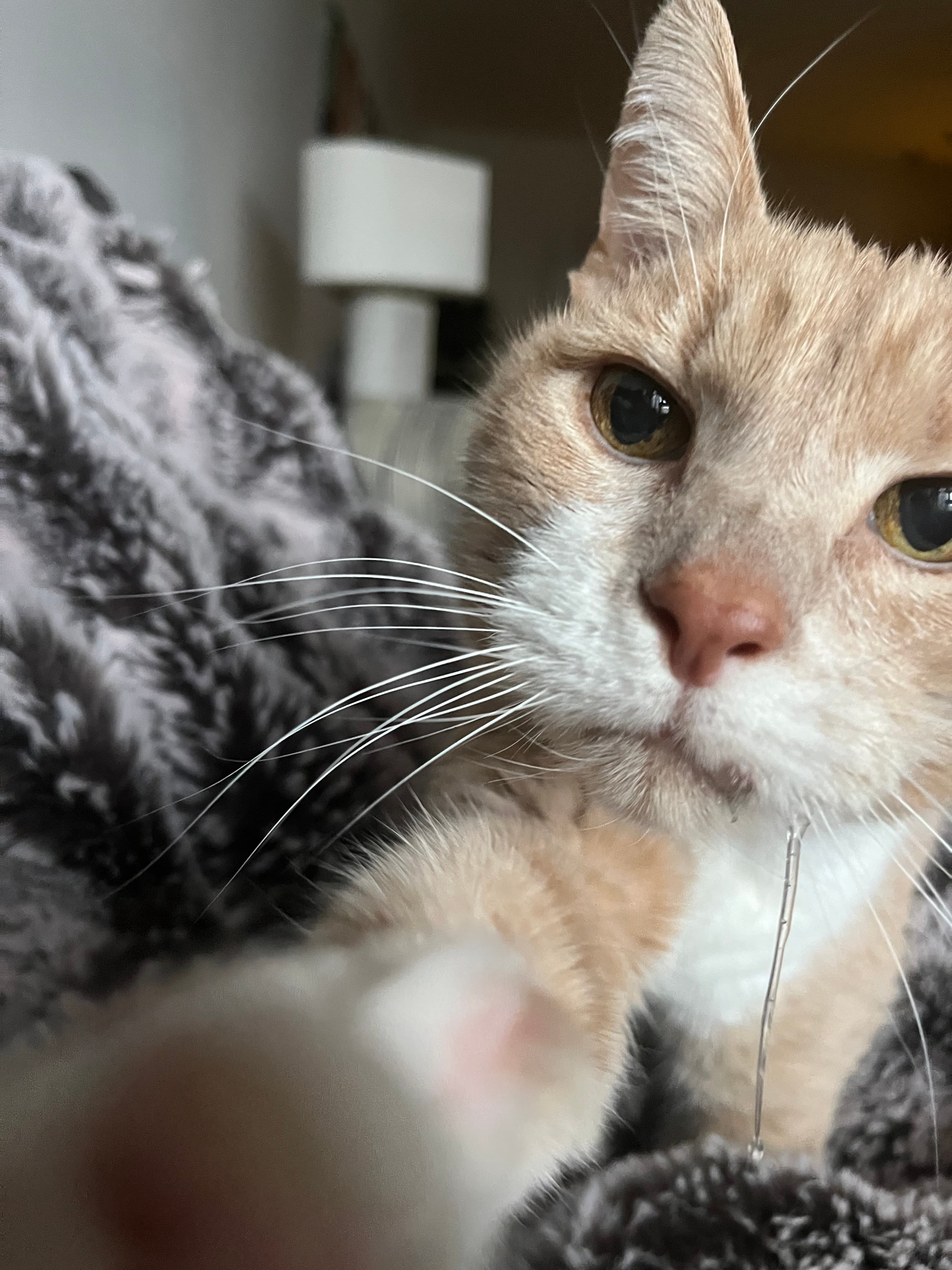 Memorial photo of Big Boy