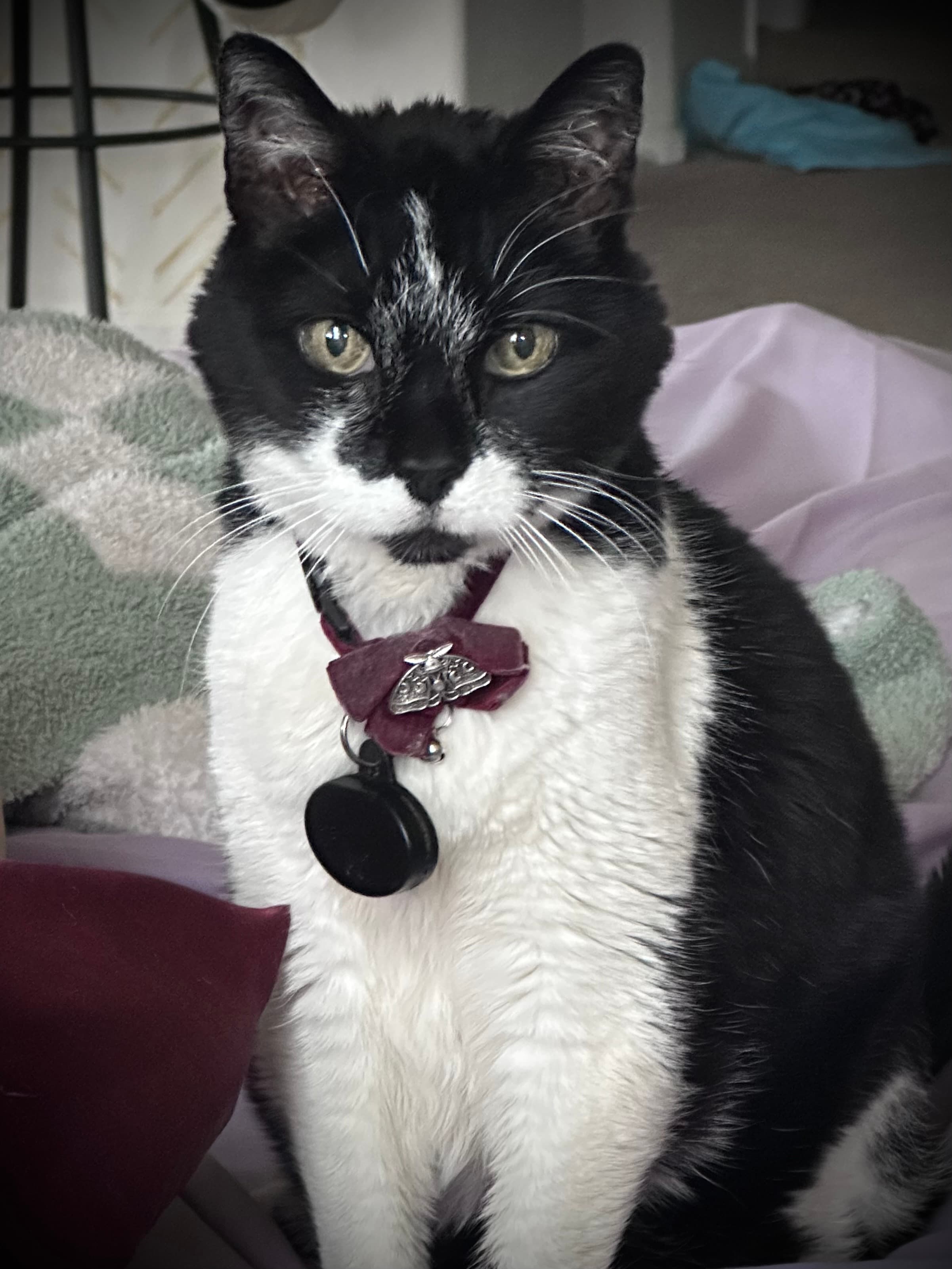 Review by AMY R.