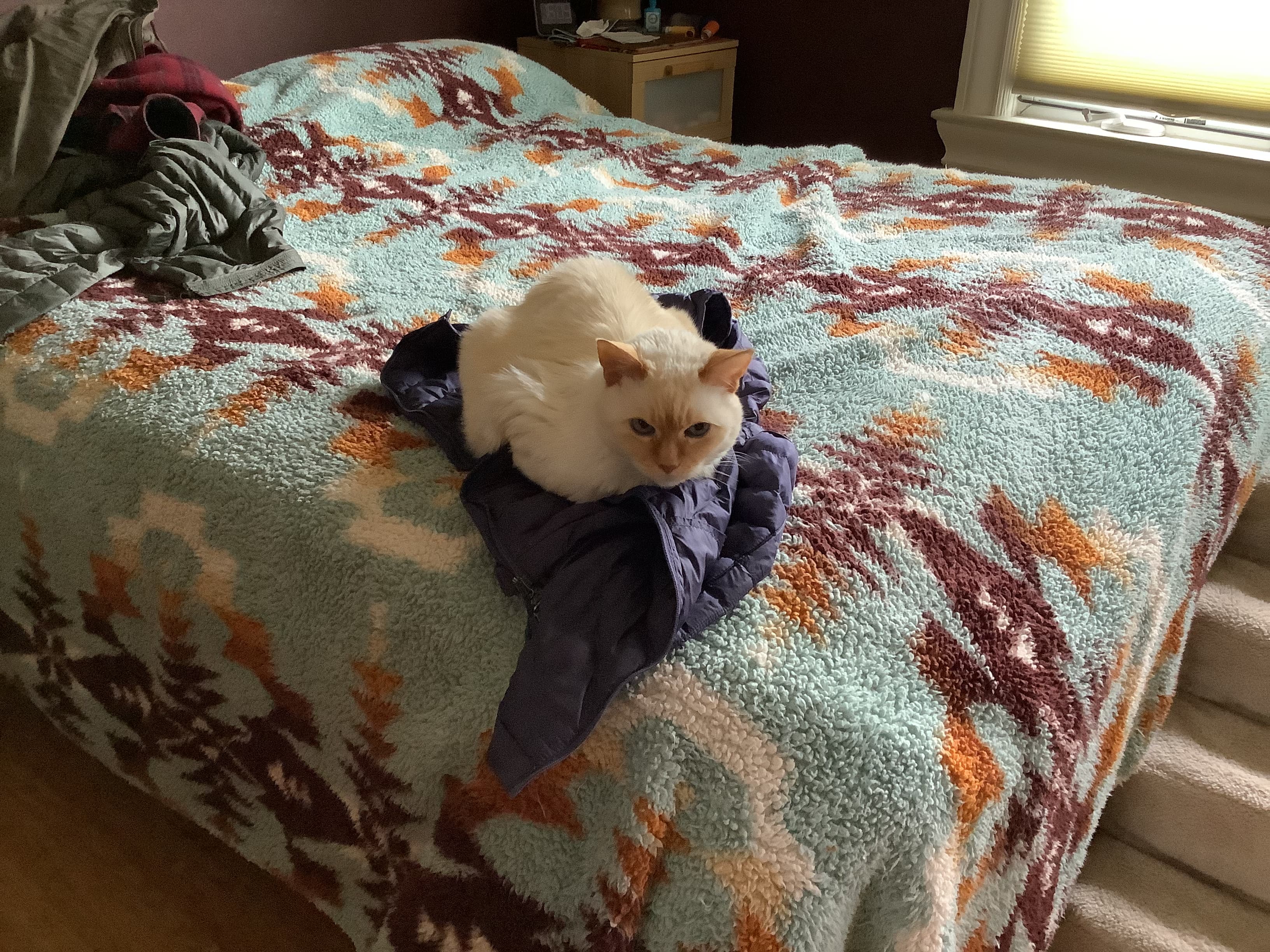 Review by Denise T.