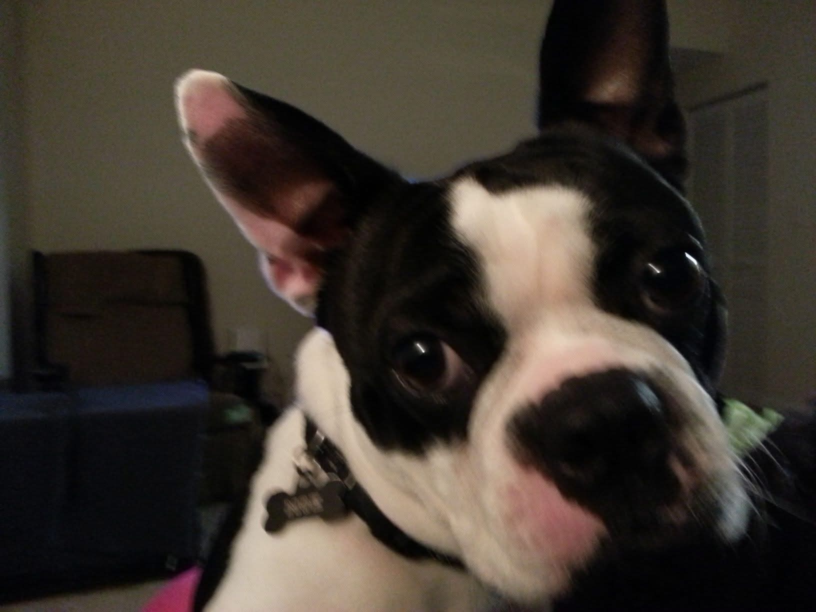 Memorial photo of Moe