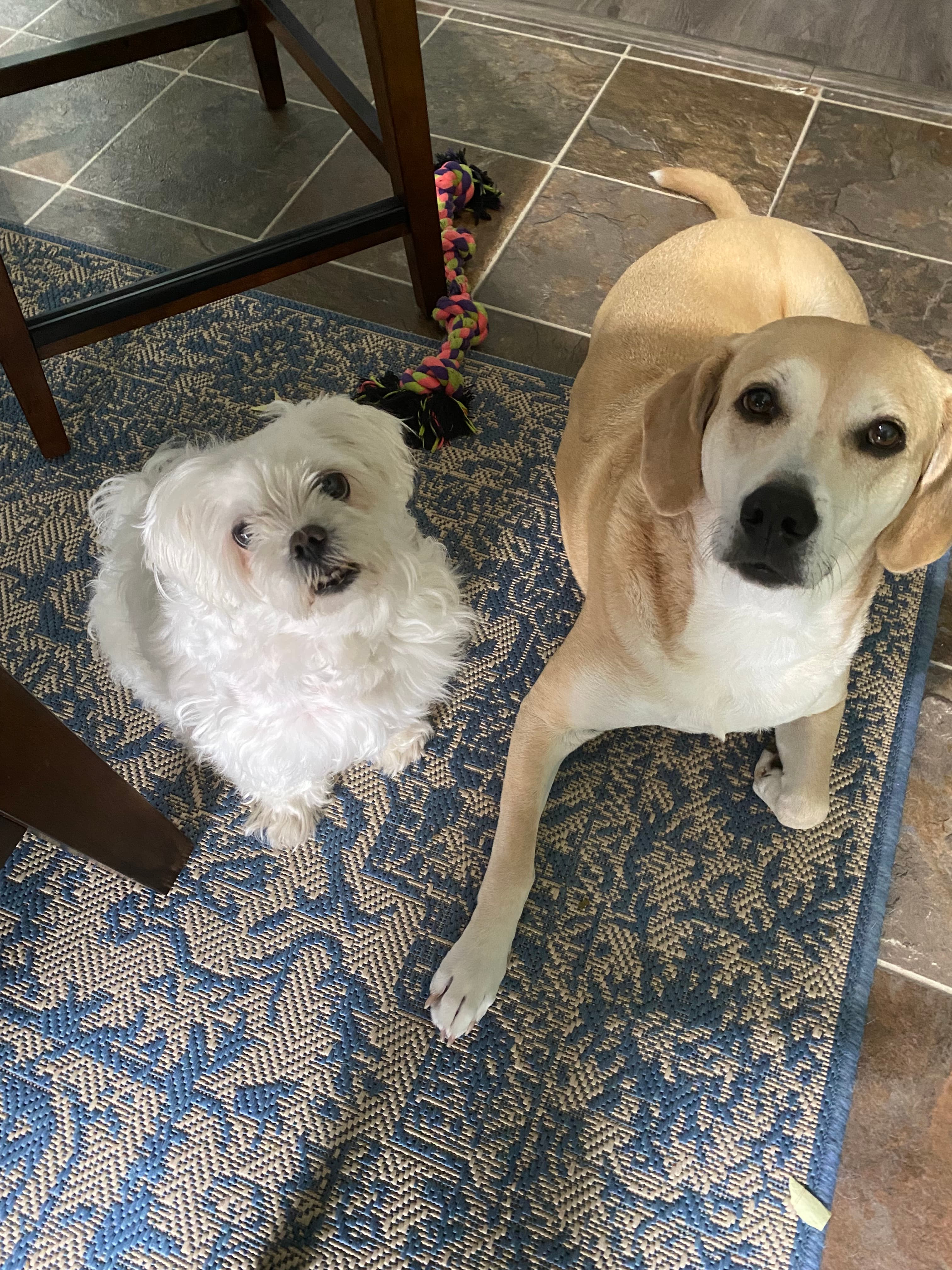 Review by Wendy L.
