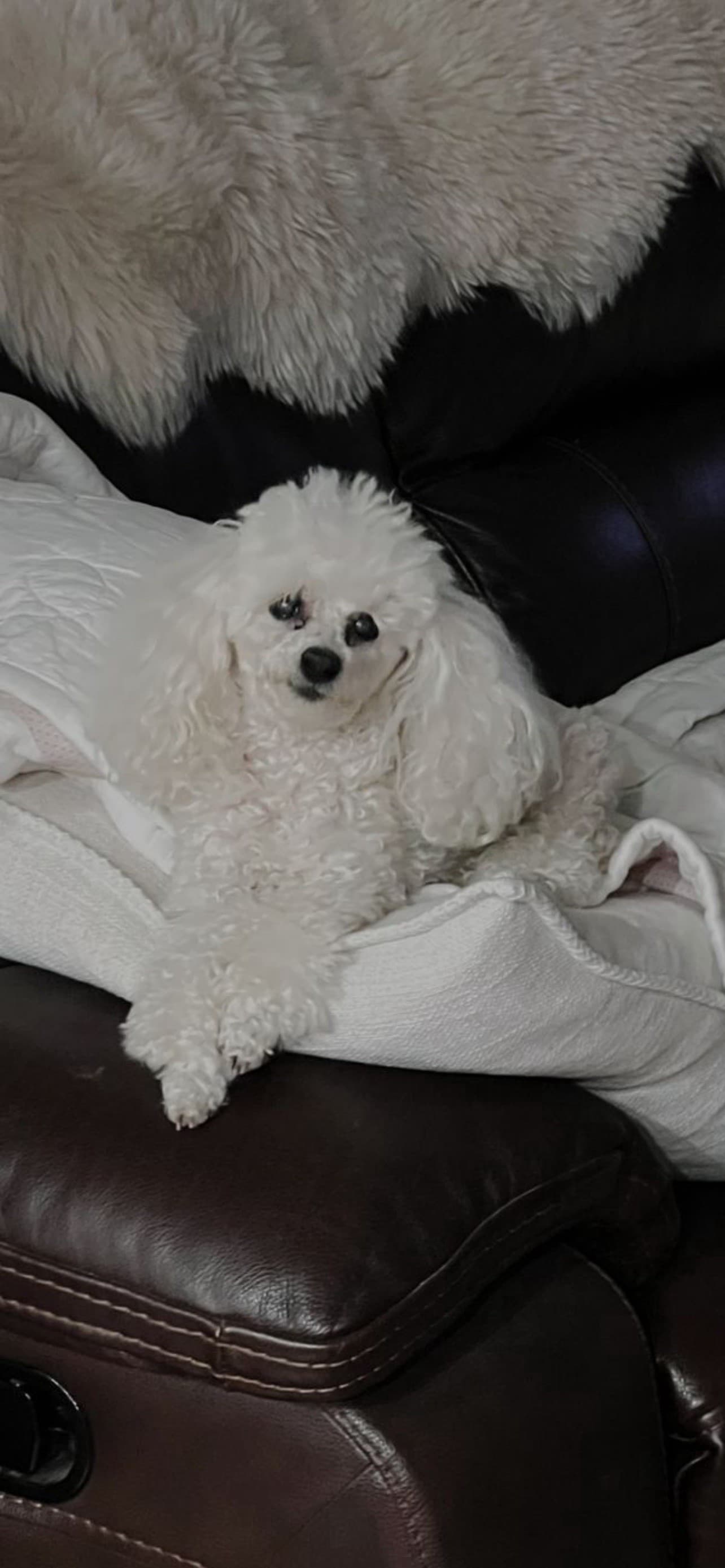 Review by Marilynn F.