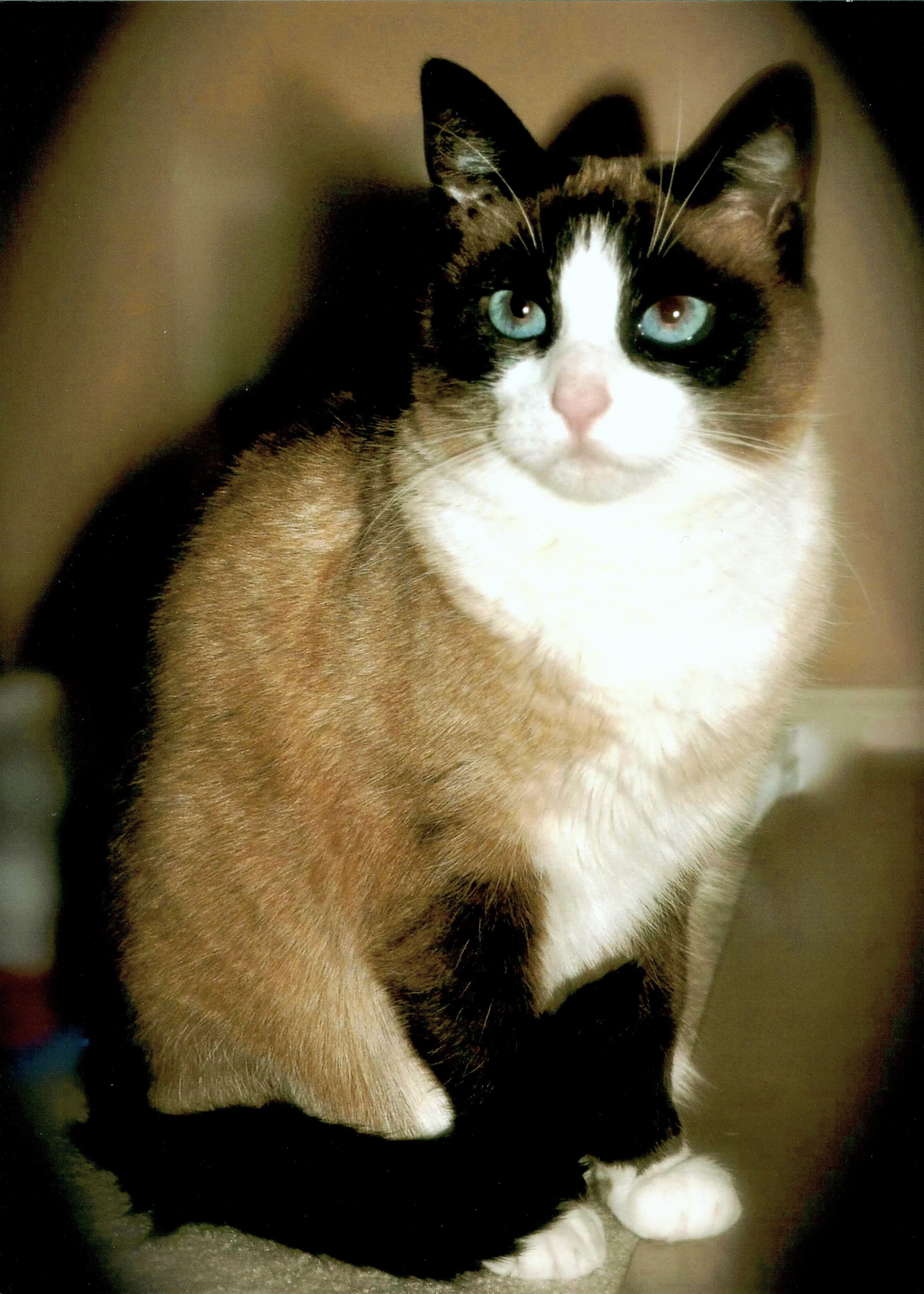 Memorial photo of Lizzie