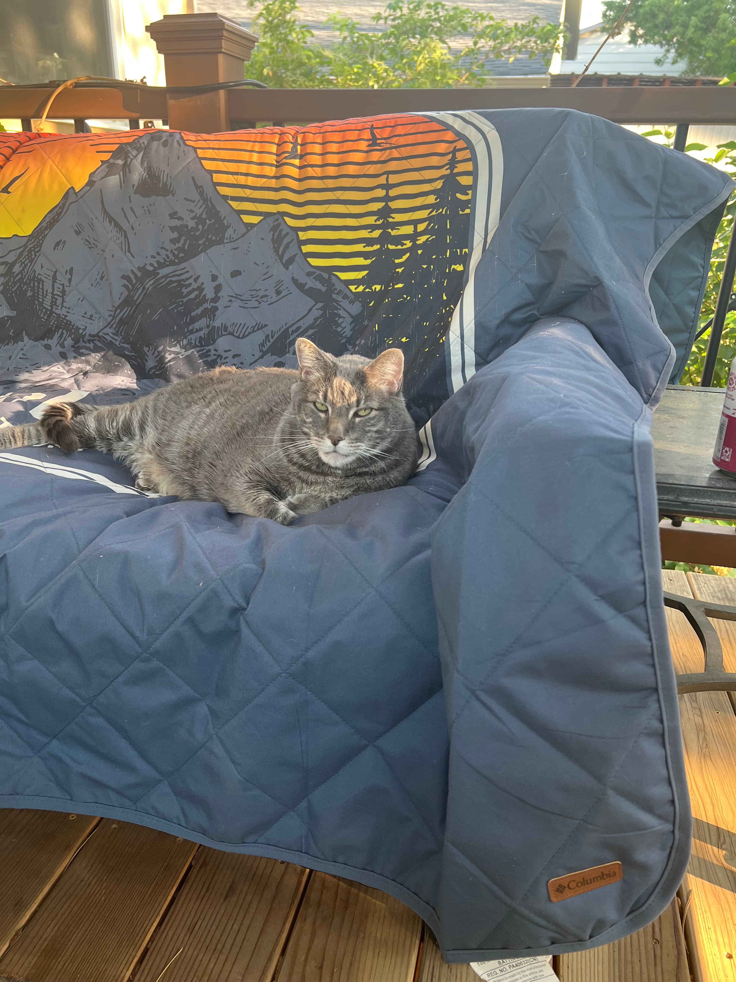 Review by Dorothy L.