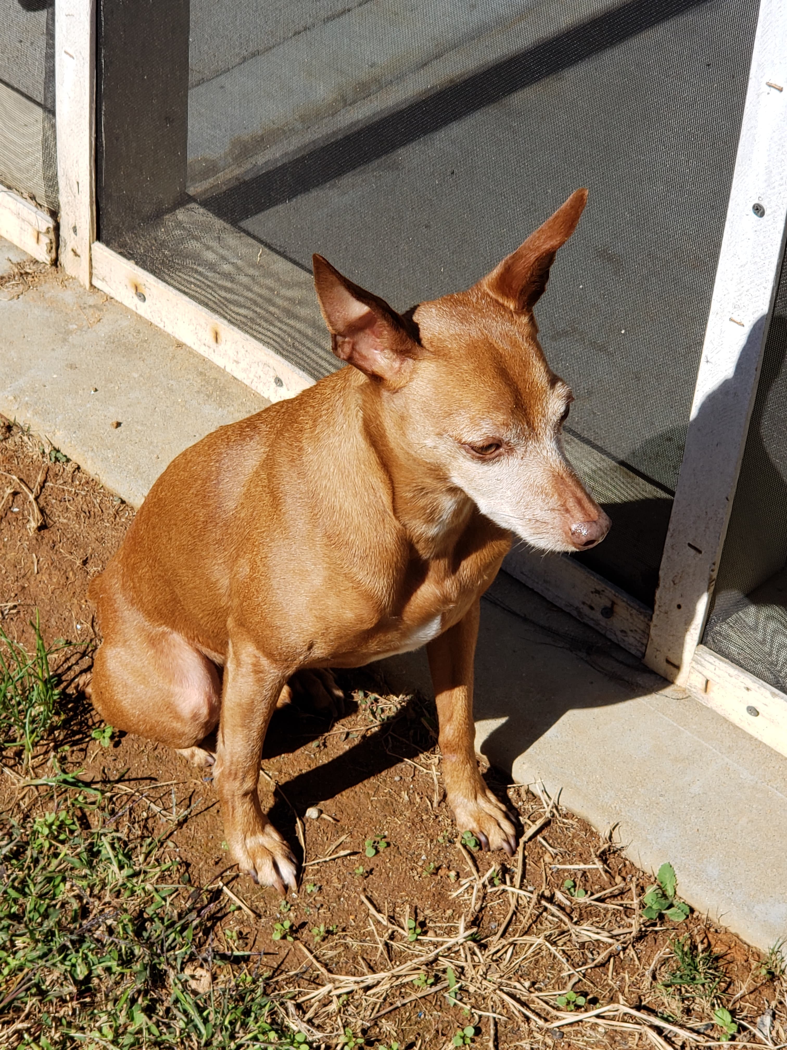 Memorial photo of Whiskee