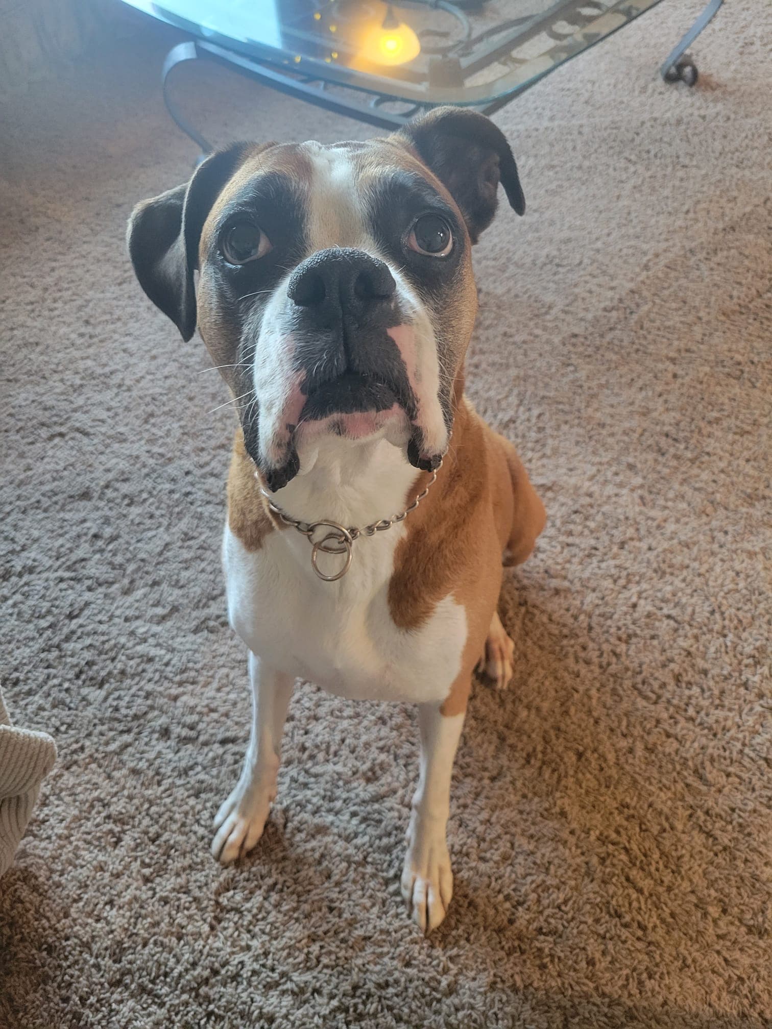 Memorial photo of Achilles