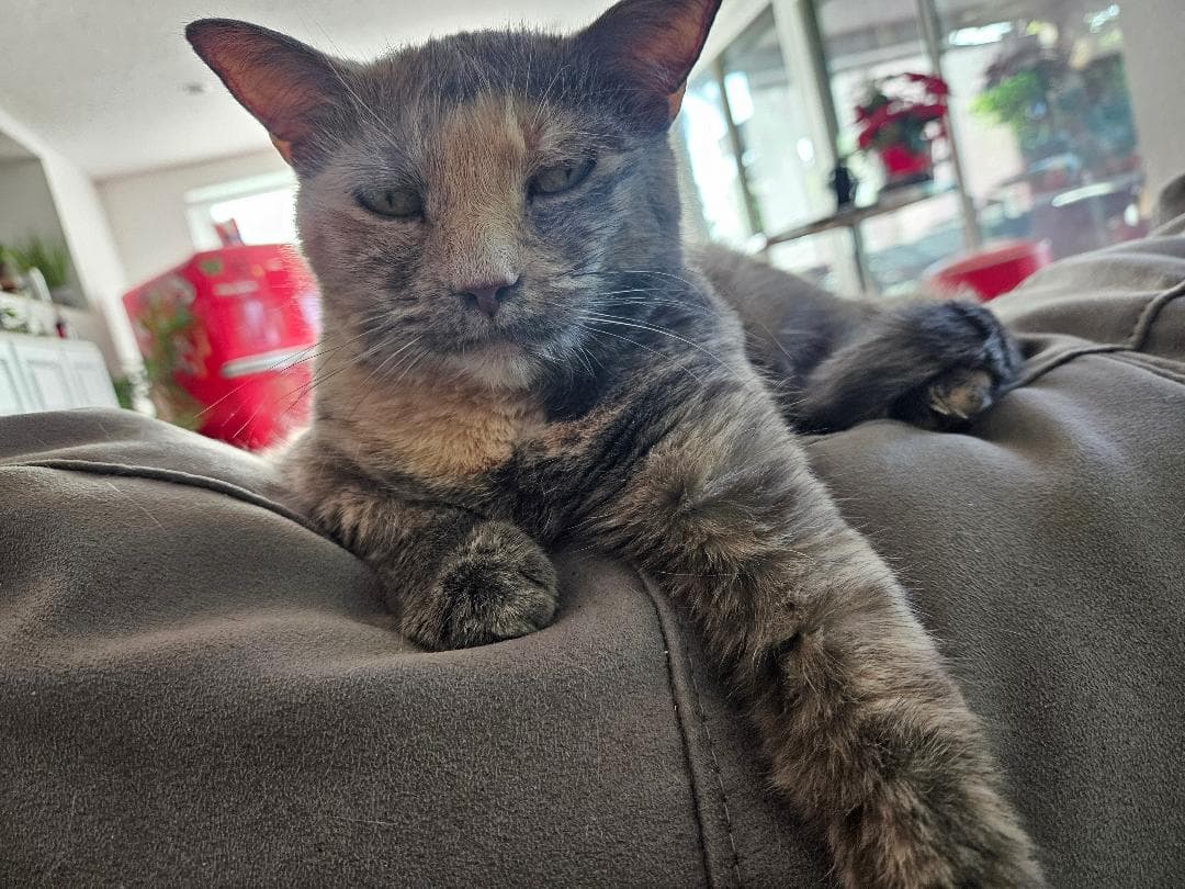 Review by Mandy H.