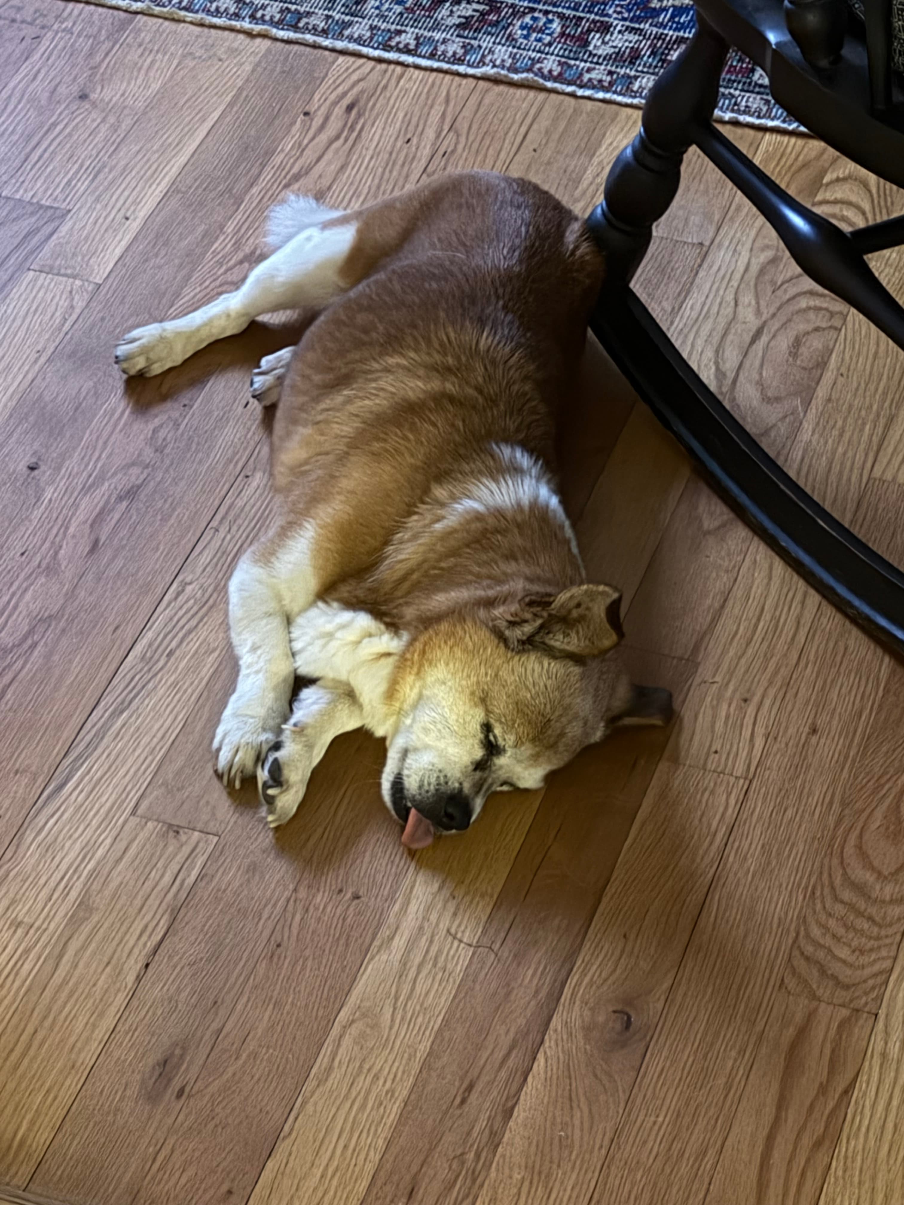 Memorial photo of Reese
