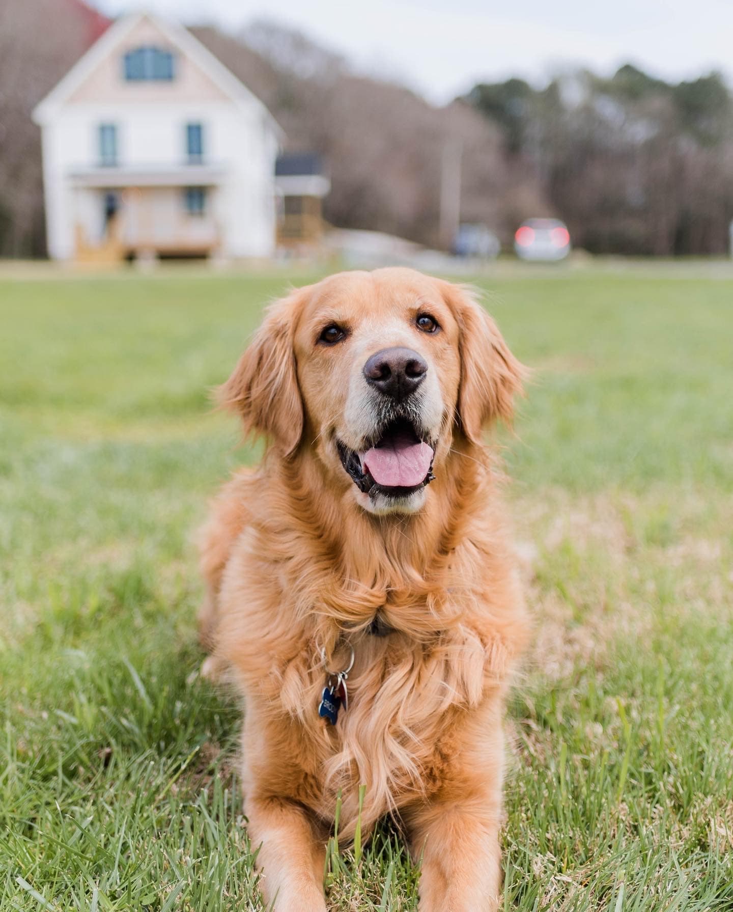 Memorial photo of Brody