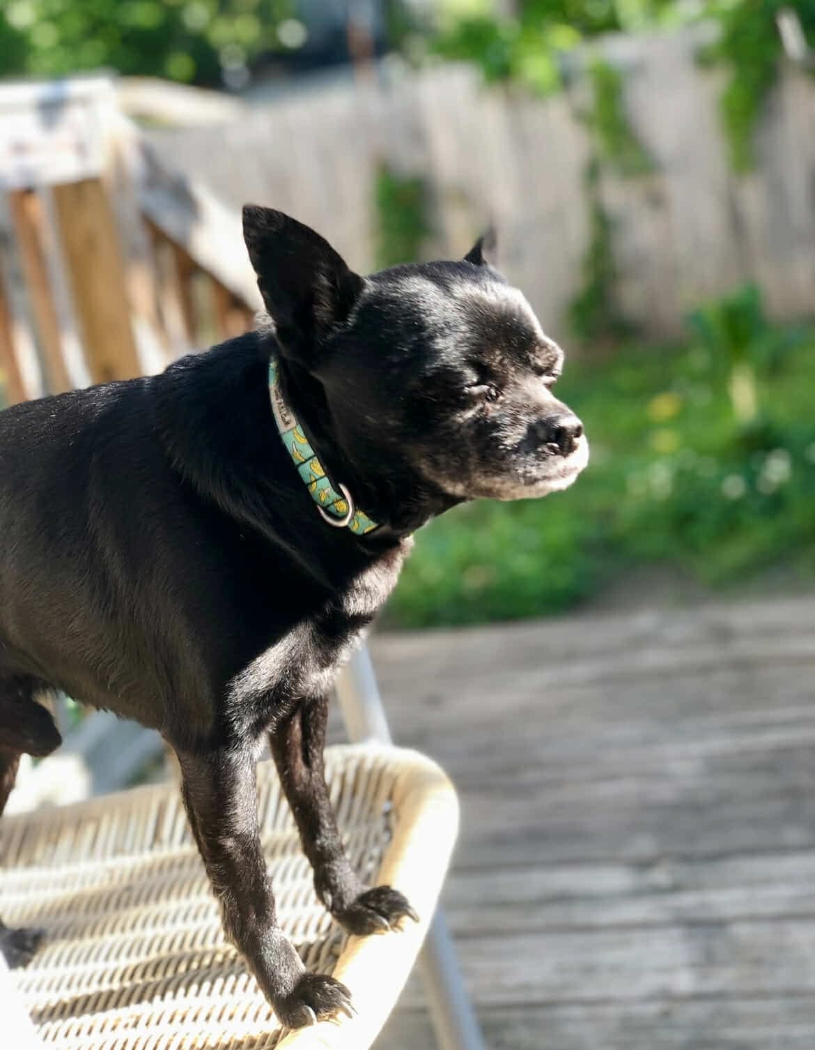 Memorial photo of Carl