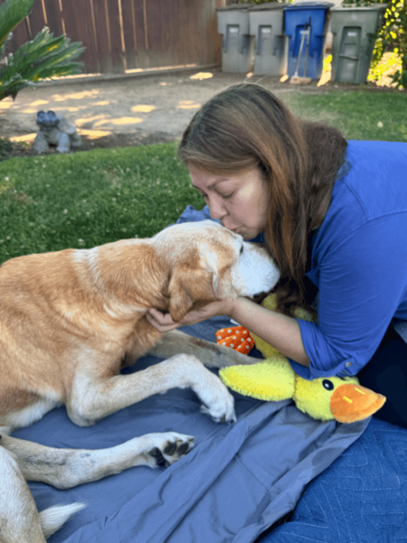 Memorial photo of Beloved Pet