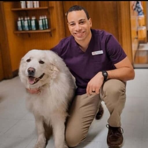 Photo of Dr. Zach Coston
