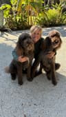 Dr. Lara Allison profile picture